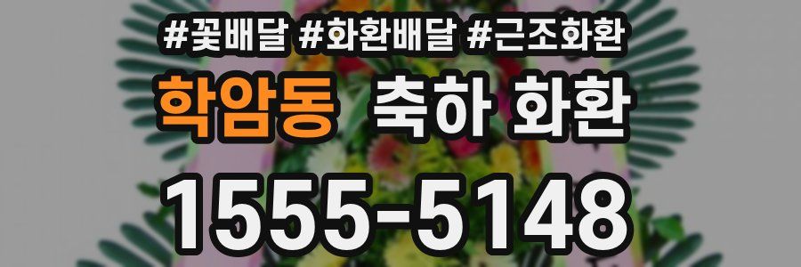 학암동 축하 화환