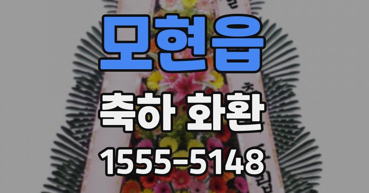 모현읍 축하 화환