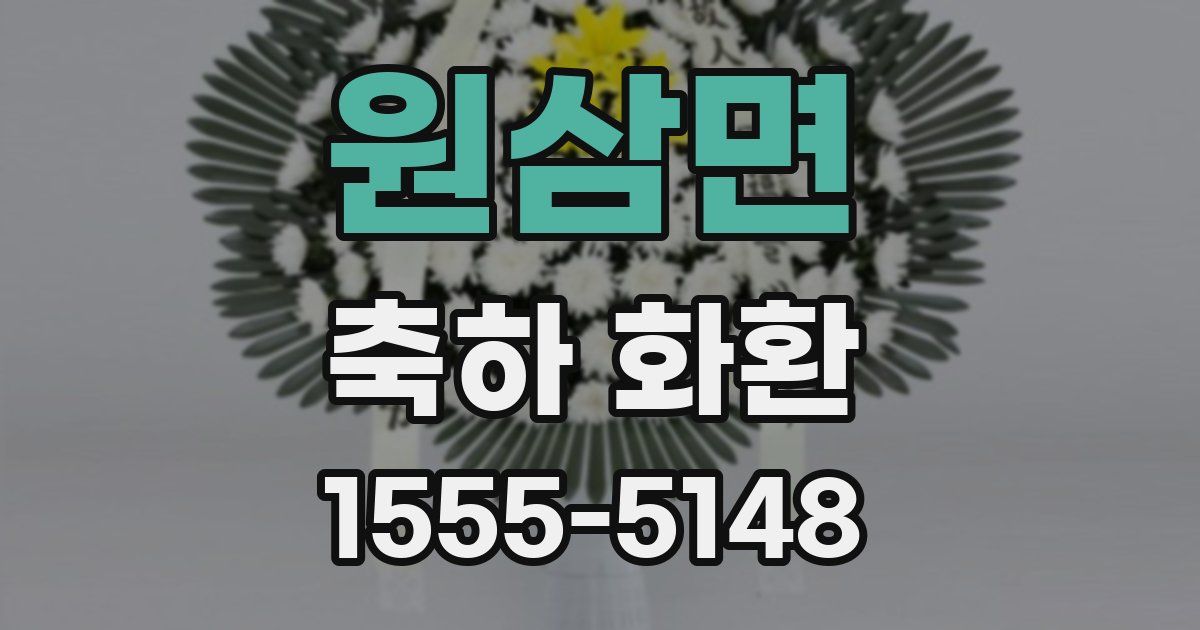 원삼면 축하 화환