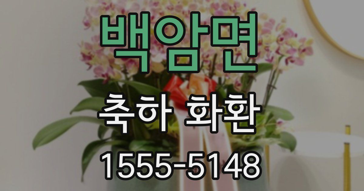백암면 축하 화환