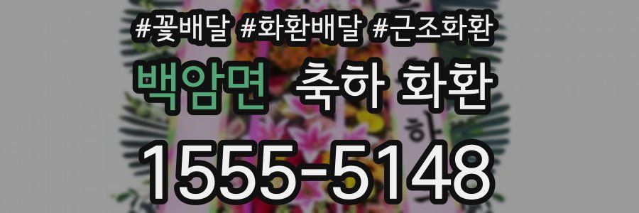 백암면 축하 화환