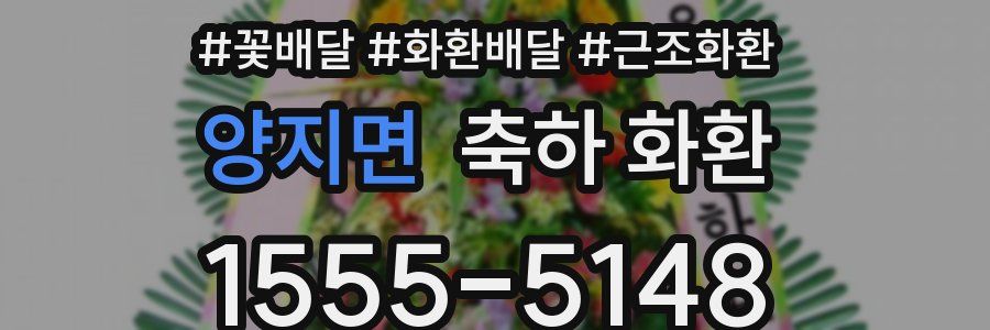 양지면 축하 화환