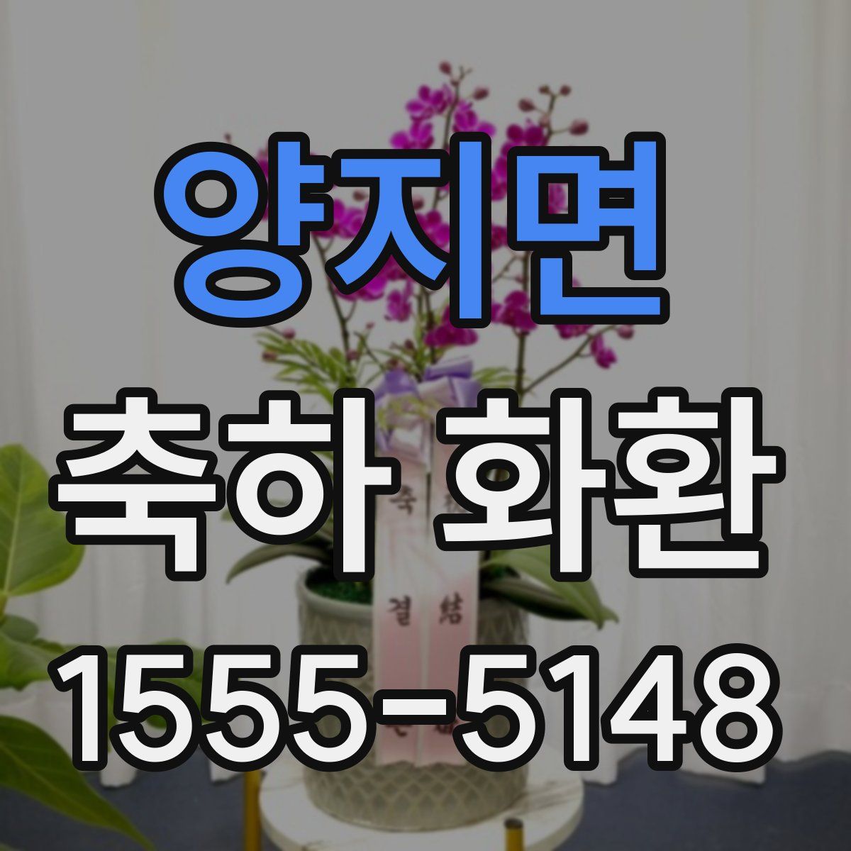 양지면 축하 화환