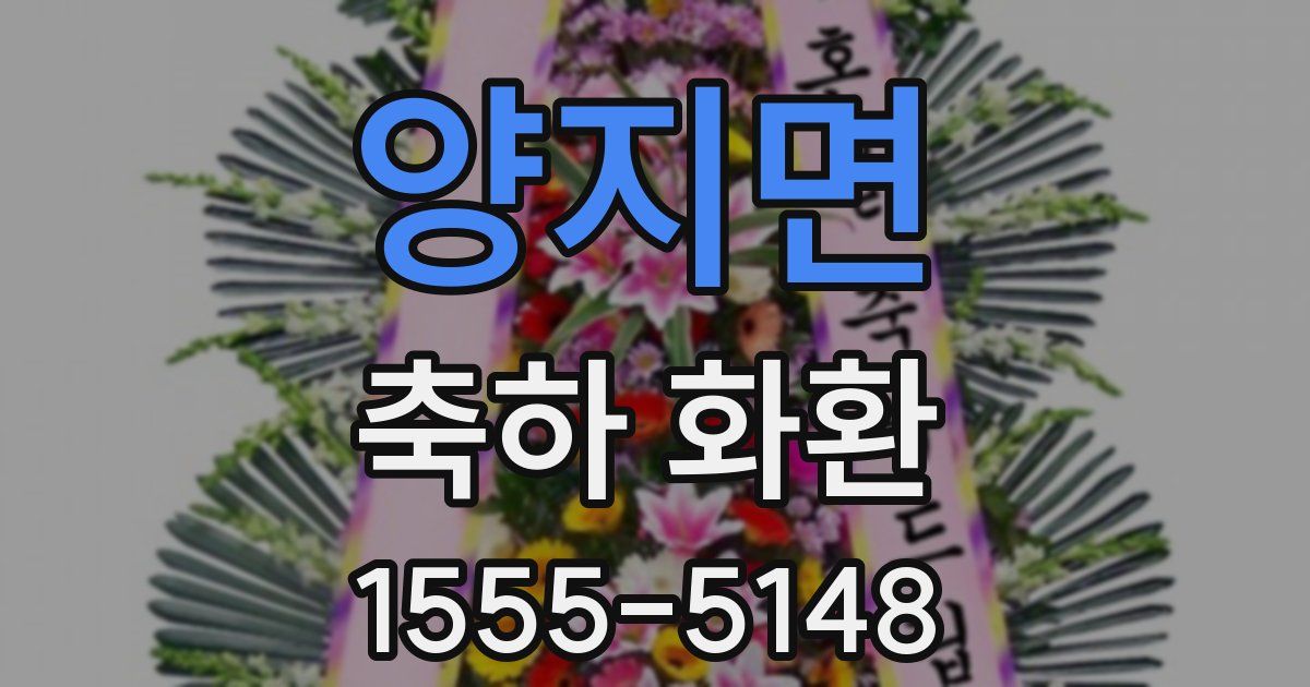 양지면 축하 화환