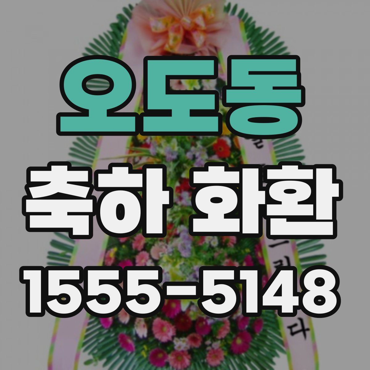 오도동 축하 화환
