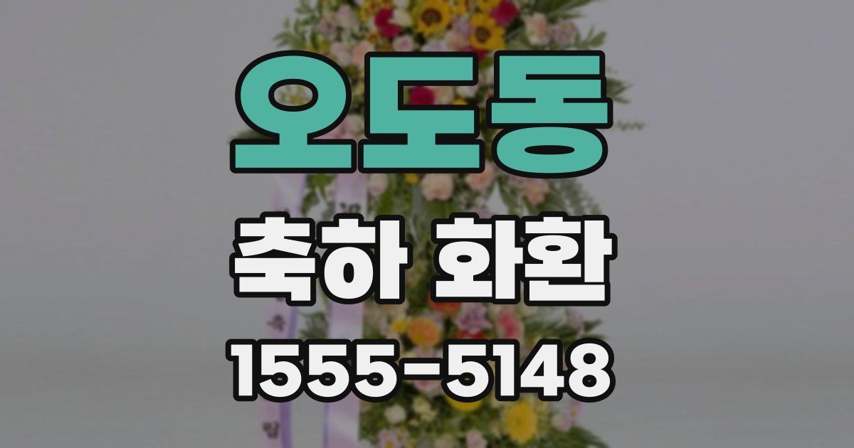 오도동 축하 화환