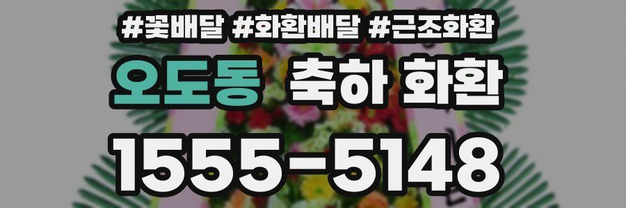 오도동 축하 화환