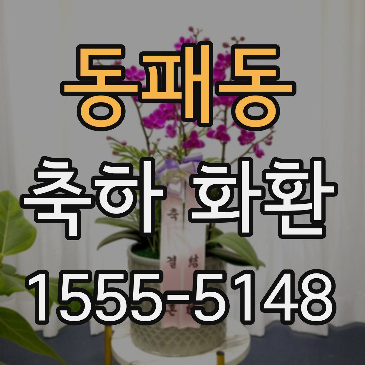 동패동 축하 화환