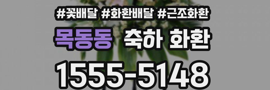 목동동 축하 화환