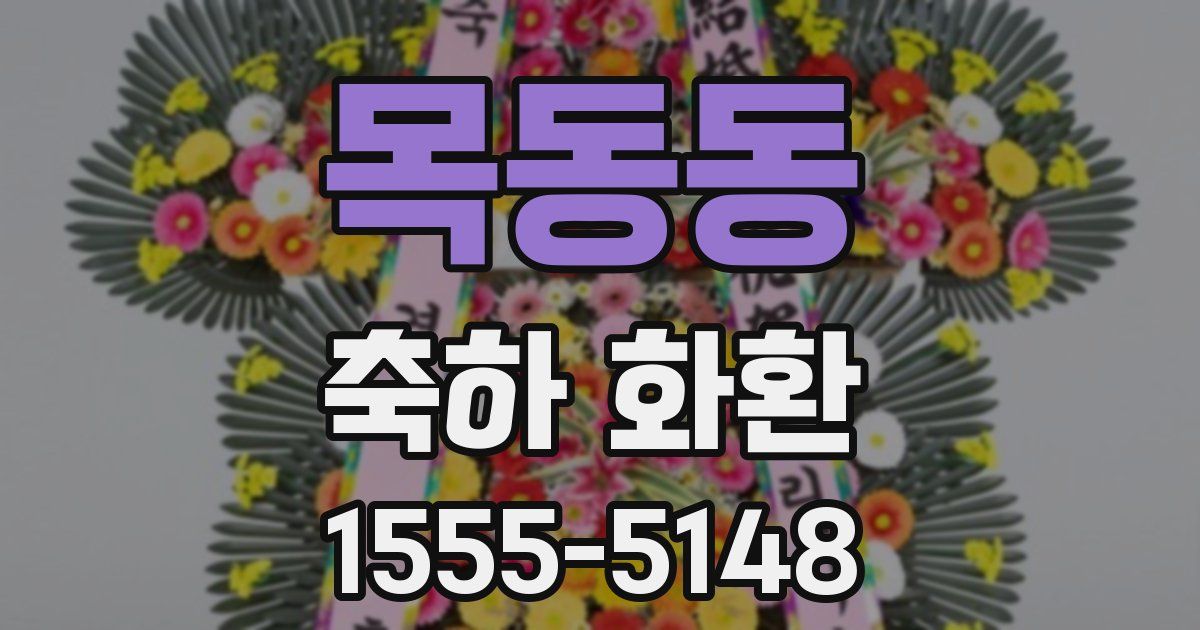 목동동 축하 화환