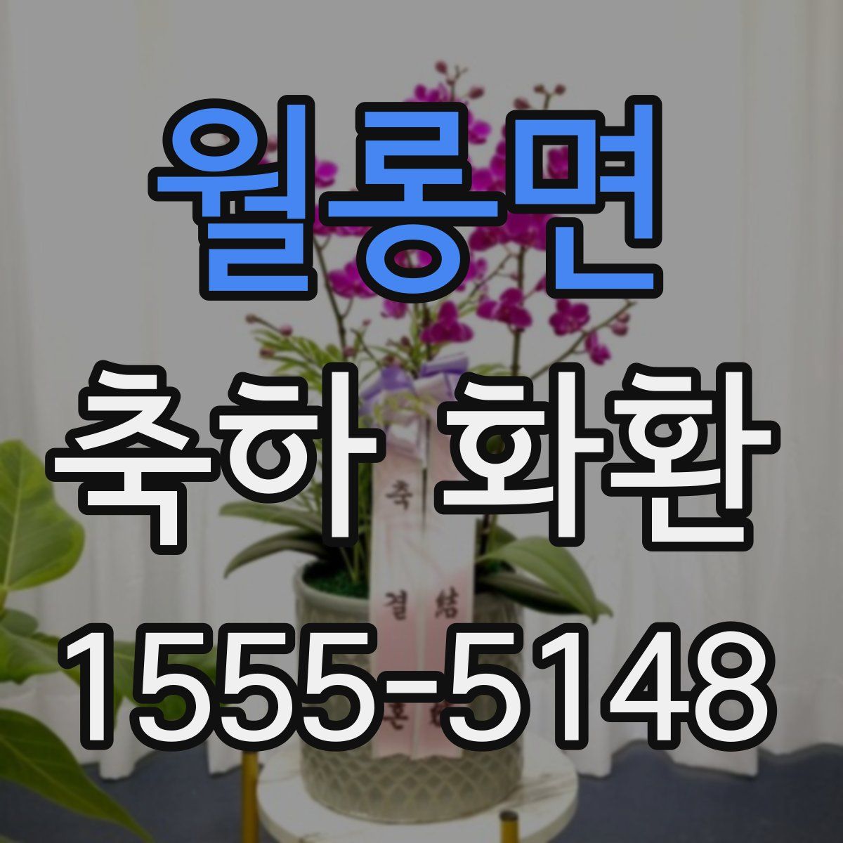 월롱면 축하 화환