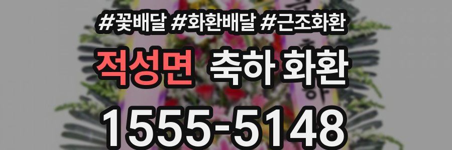 적성면 축하 화환