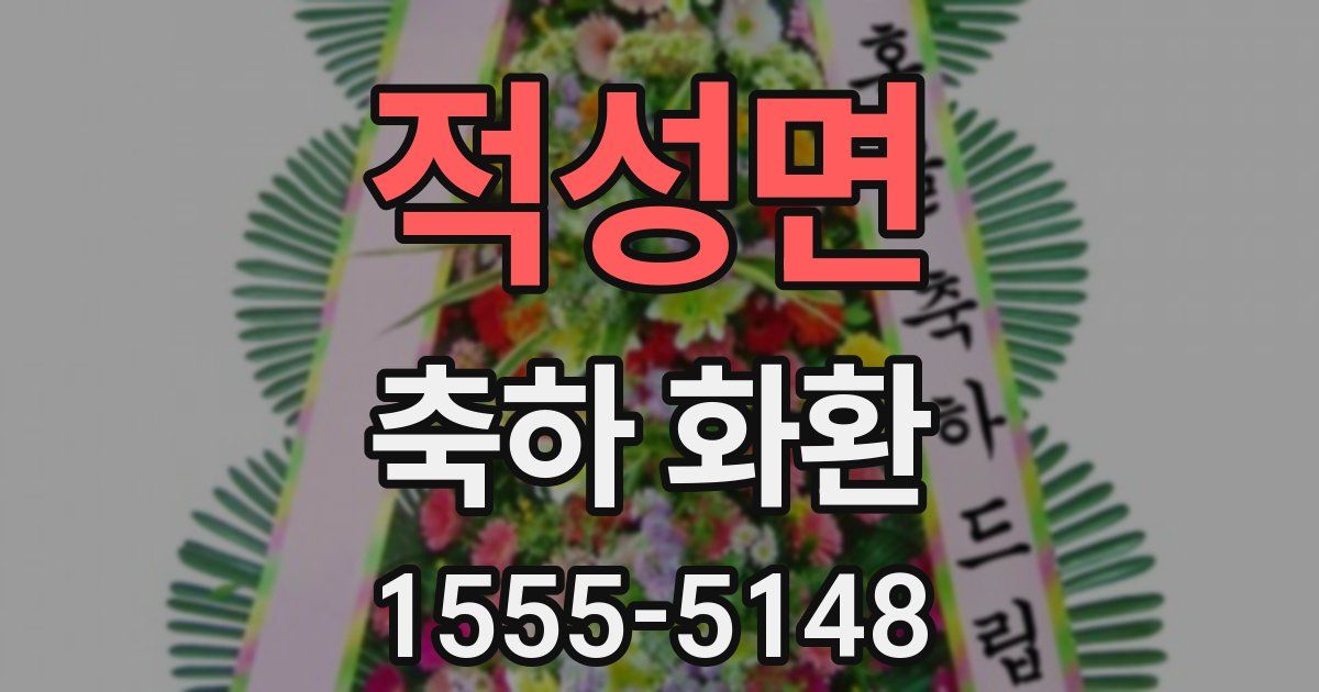 적성면 축하 화환