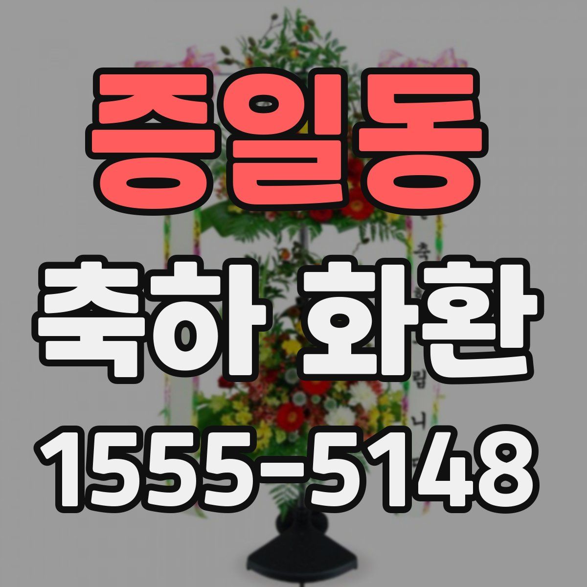 증일동 축하 화환