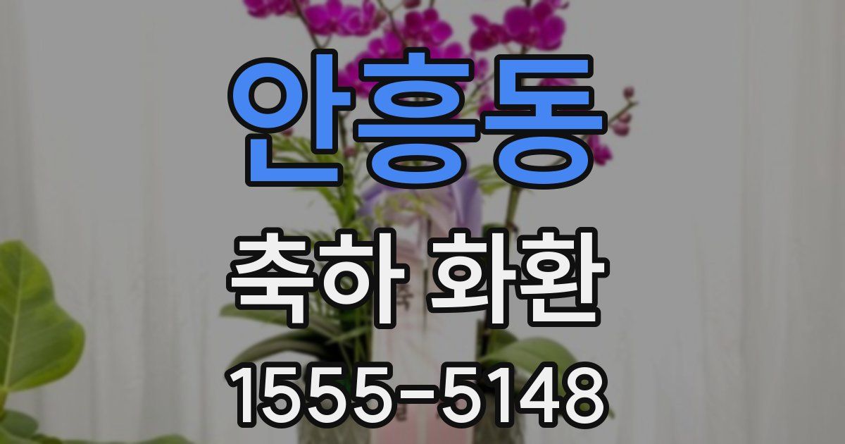 안흥동 축하 화환