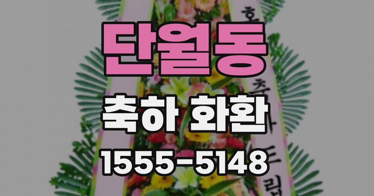 단월동 축하 화환