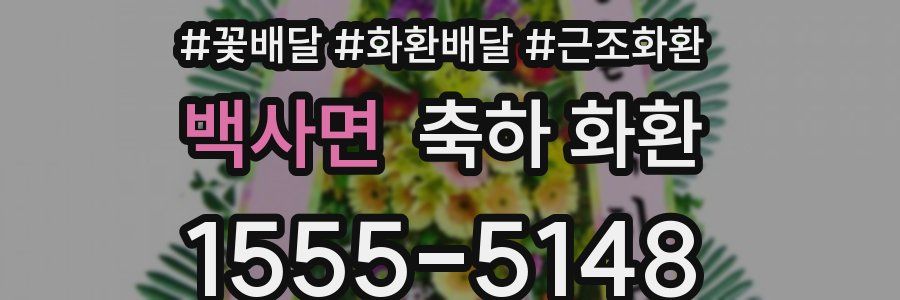백사면 축하 화환