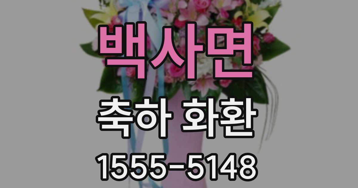 백사면 축하 화환