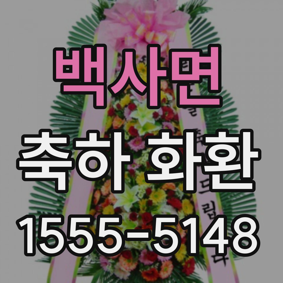 백사면 축하 화환