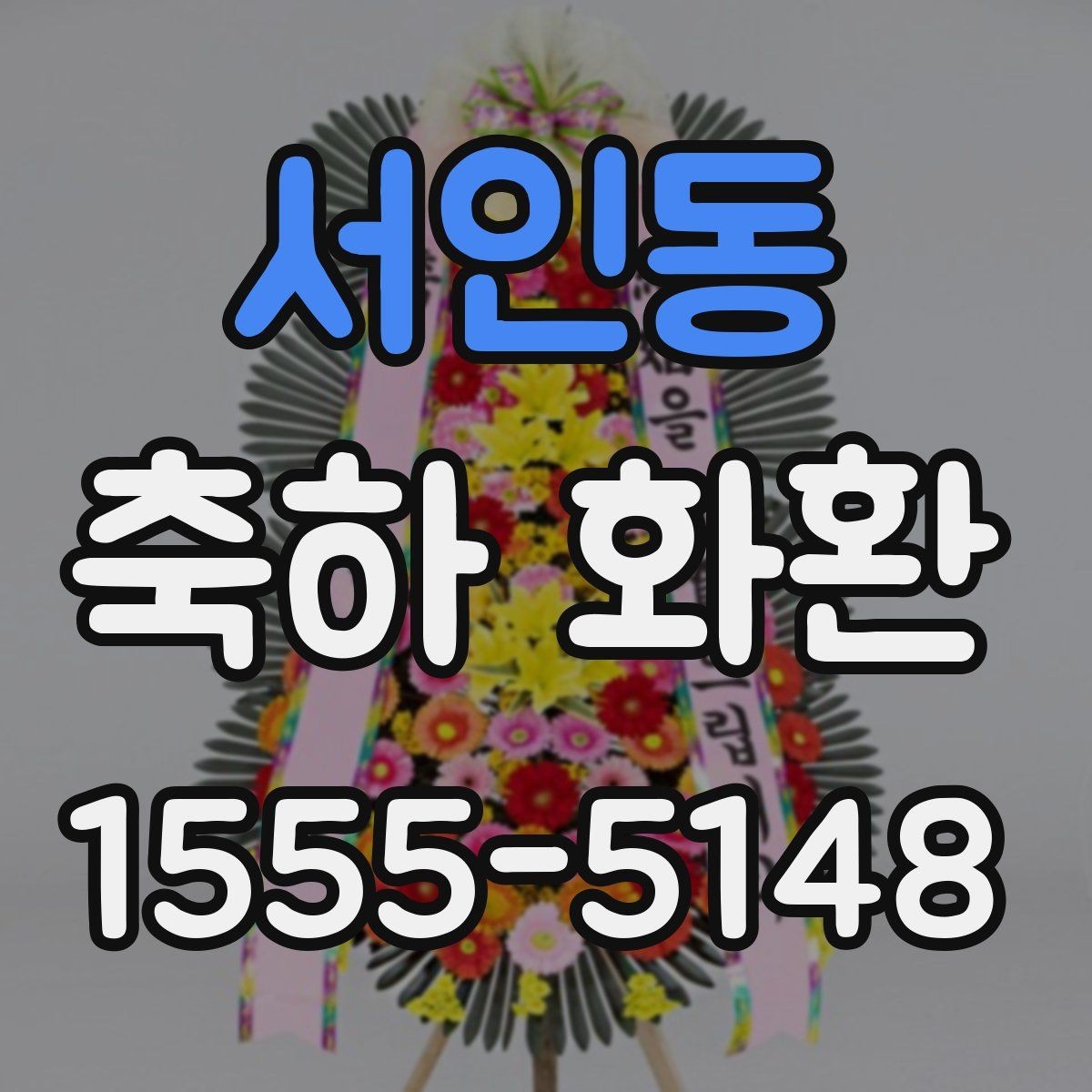 서인동 축하 화환 부피와 이동 편의성 비교
