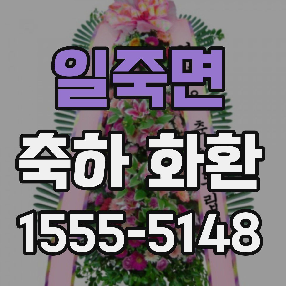 일죽면 축하 화환