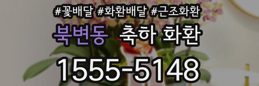 북변동 축하 화환