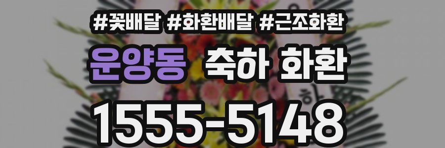 운양동 축하 화환