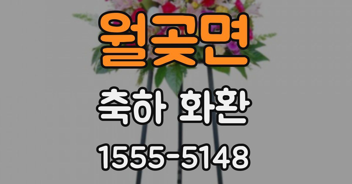 월곶면 축하 화환