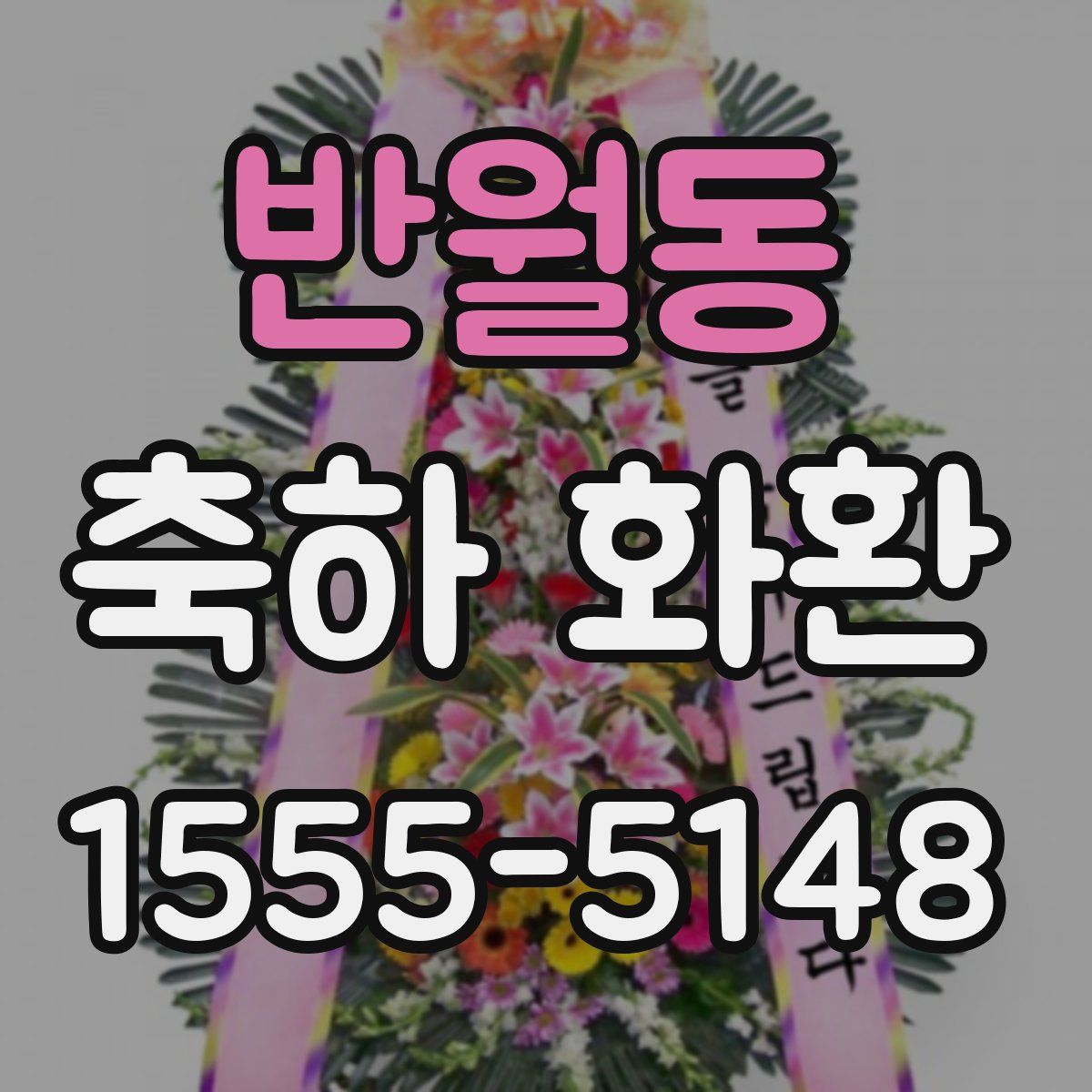 반월동 축하 화환