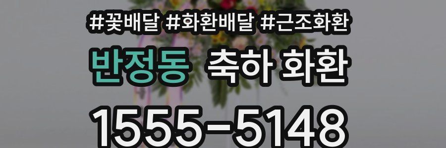 반정동 축하 화환