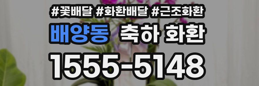 배양동 축하 화환