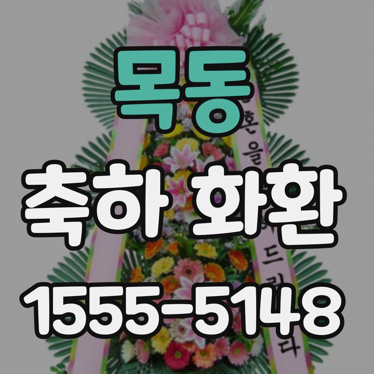목동 축하 화환