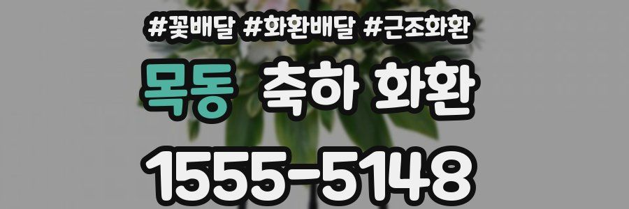 목동 축하 화환