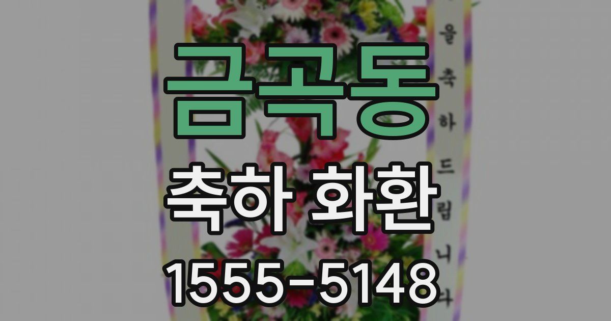 금곡동 축하 화환