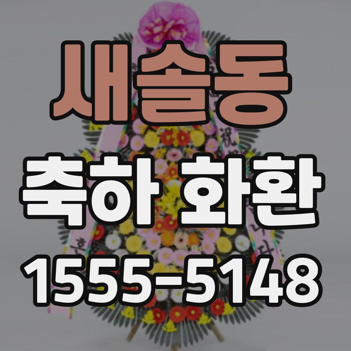새솔동 축하 화환