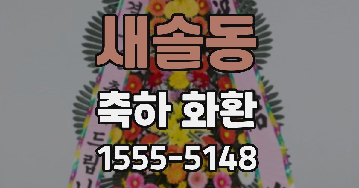 새솔동 축하 화환