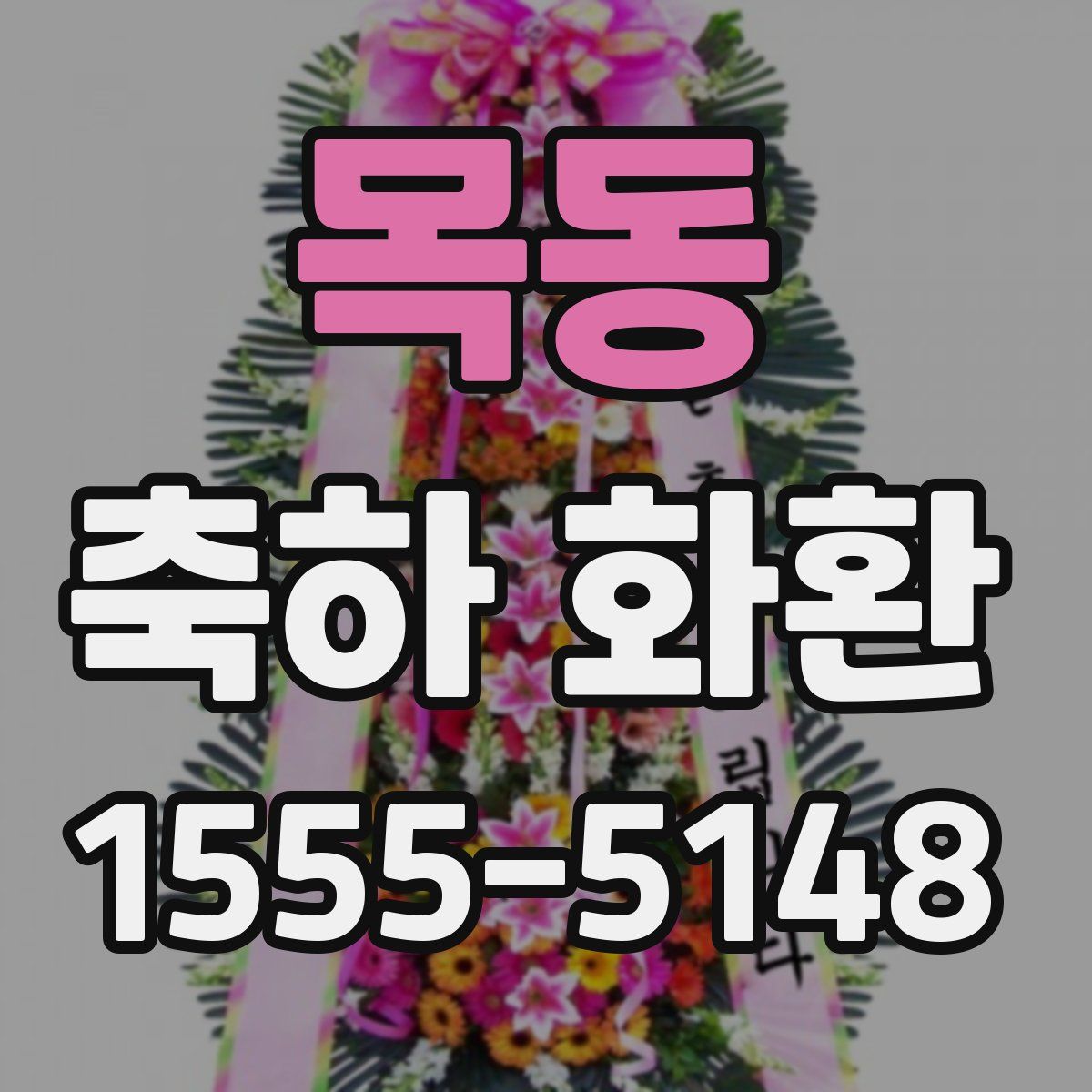 목동 축하 화환