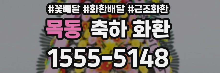 목동 축하 화환