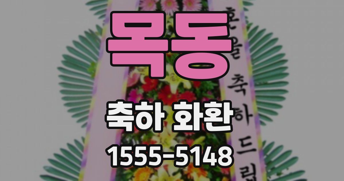 목동 축하 화환
