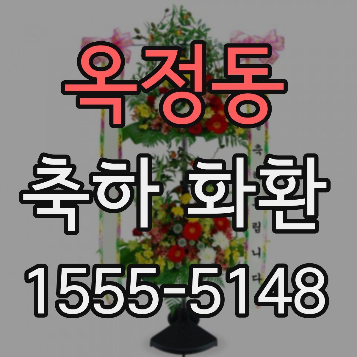 옥정동 축하 화환 전시 공간에 맞춘 배치 팁