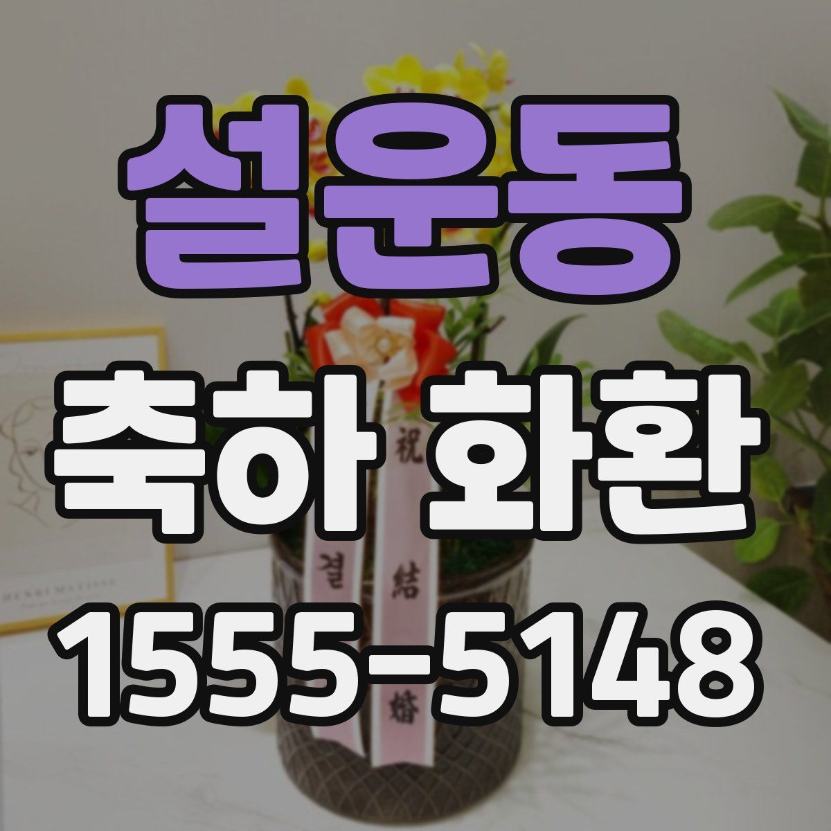 설운동 축하 화환