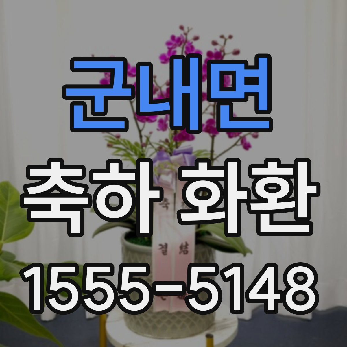 군내면 축하 화환