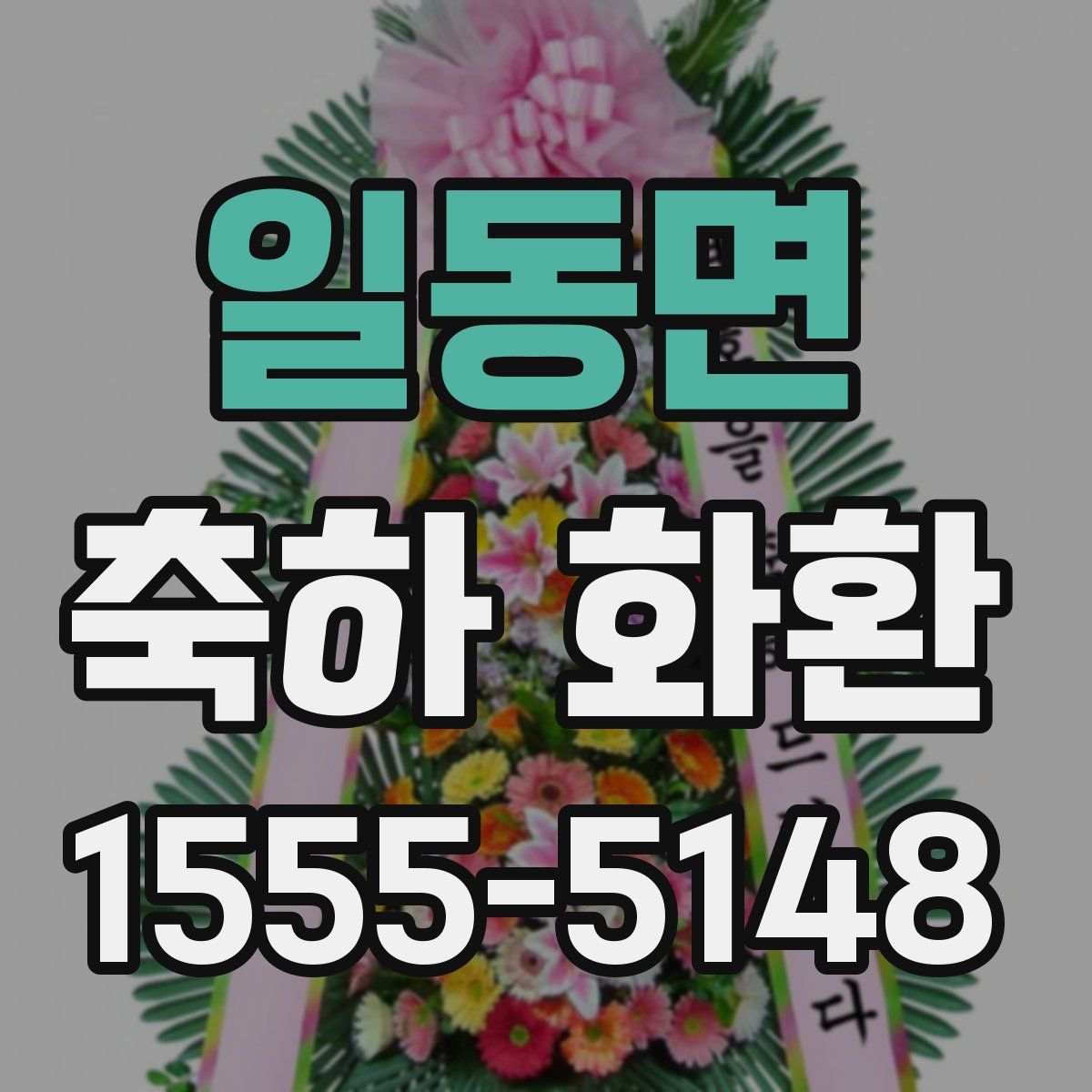 일동면 축하 화환