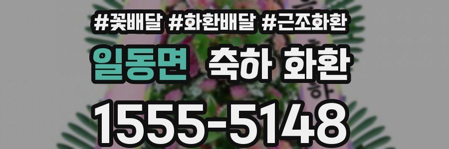 일동면 축하 화환