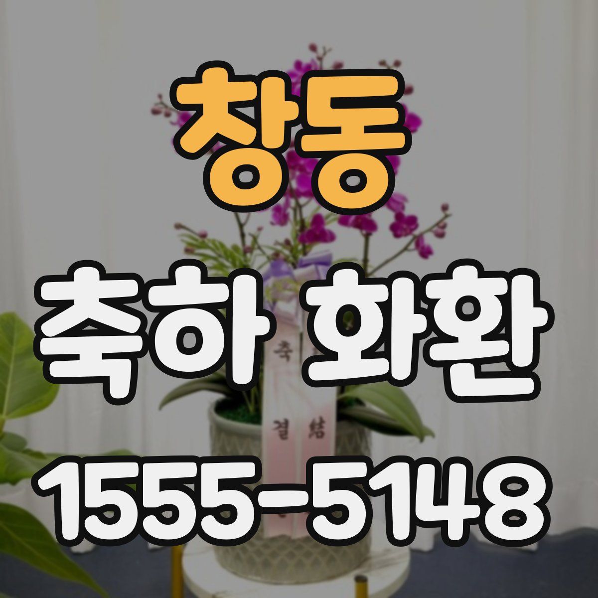 창동 축하 화환