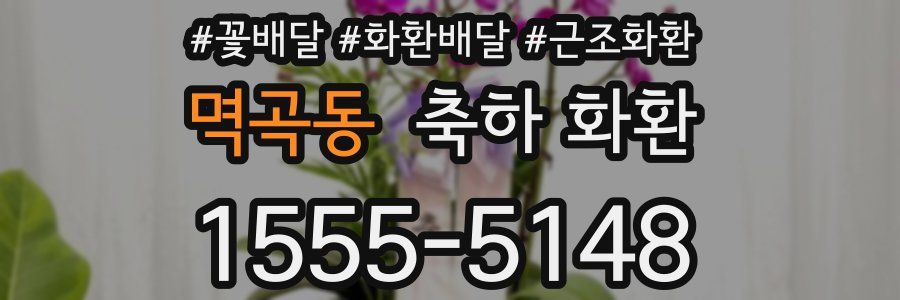 멱곡동 축하 화환