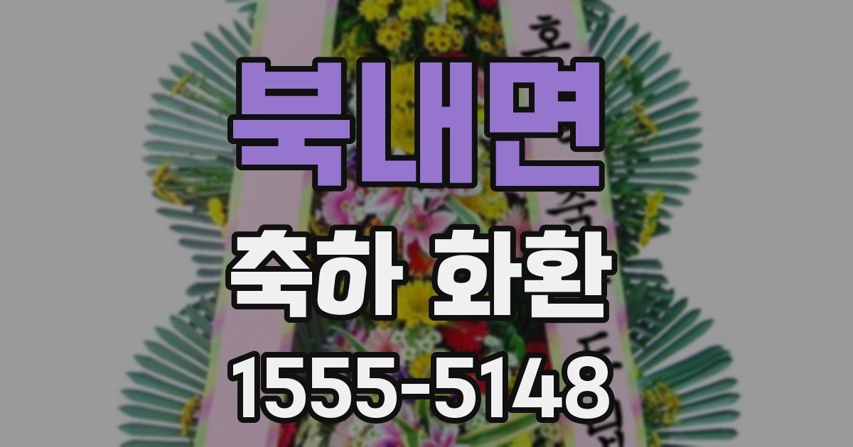 북내면 축하 화환