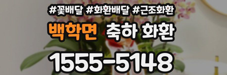 백학면 축하 화환