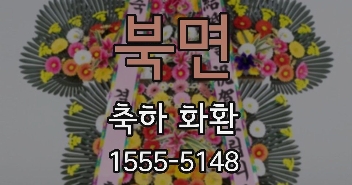 북면 축하 화환