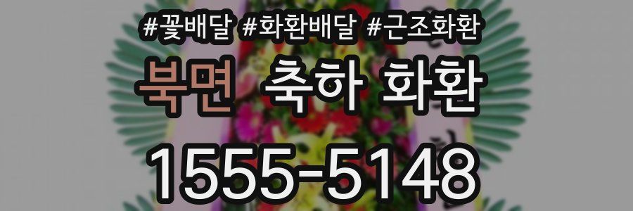 북면 축하 화환